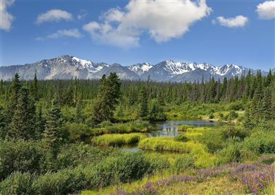 Kluane Nationalpark